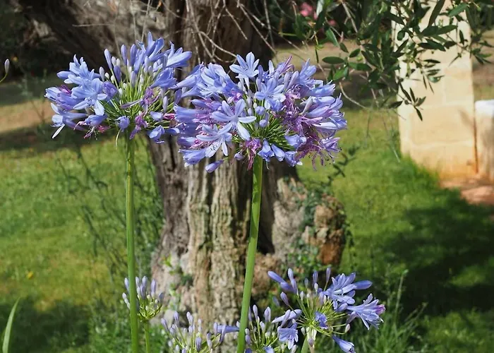 Sospiri Luxury With Private Pool